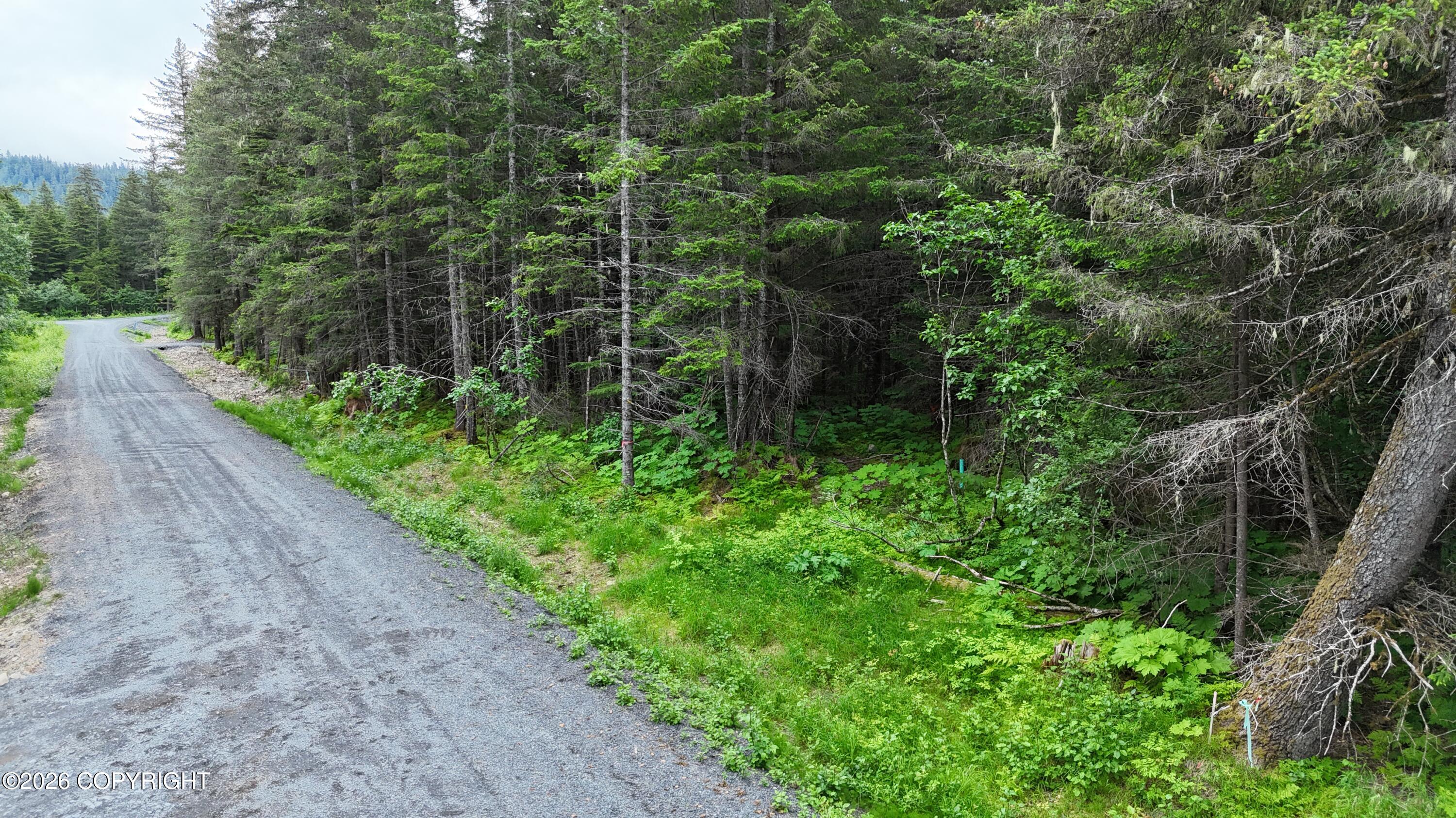 31885 Maxwell Court Property Photo 11