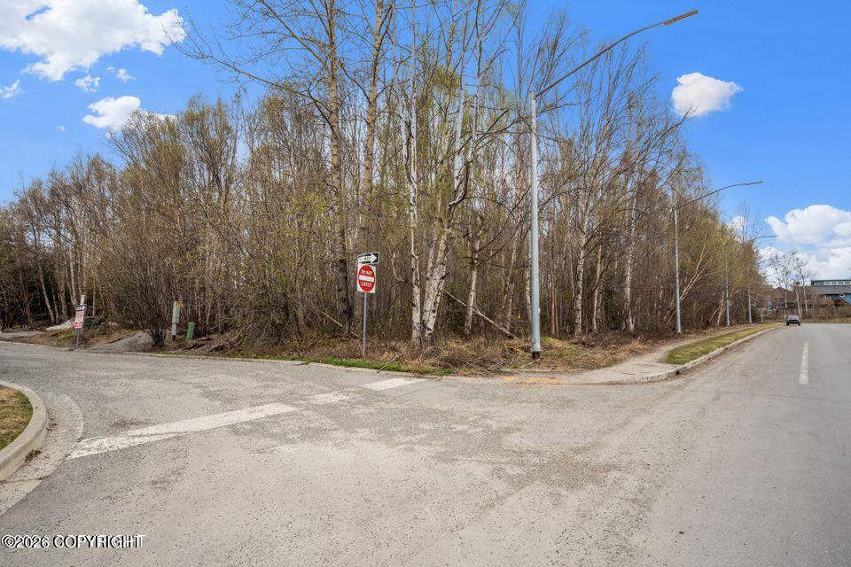 7220 Meadow Street Property Photo 9