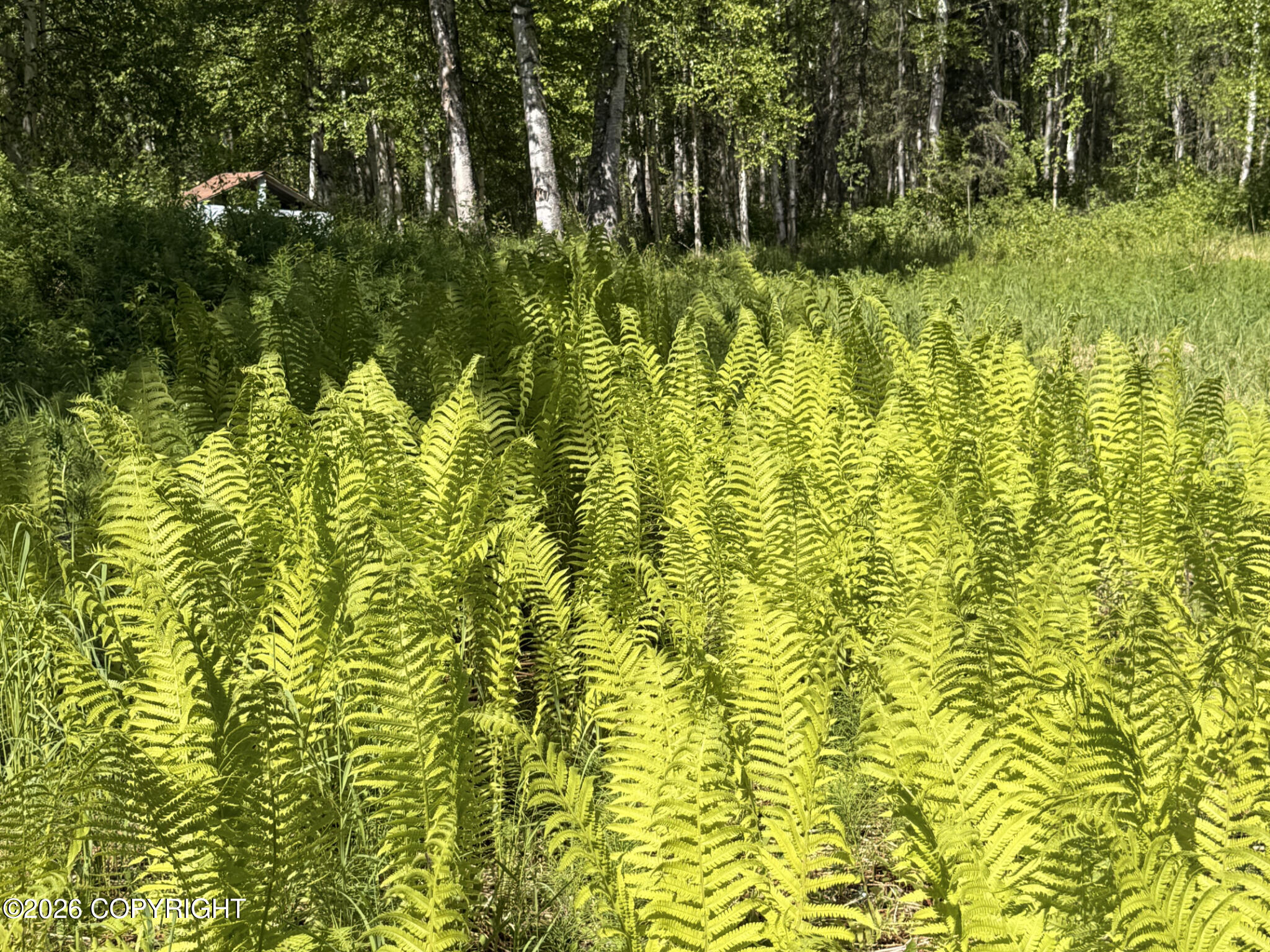 15113 E Sunshine Road Property Photo 122