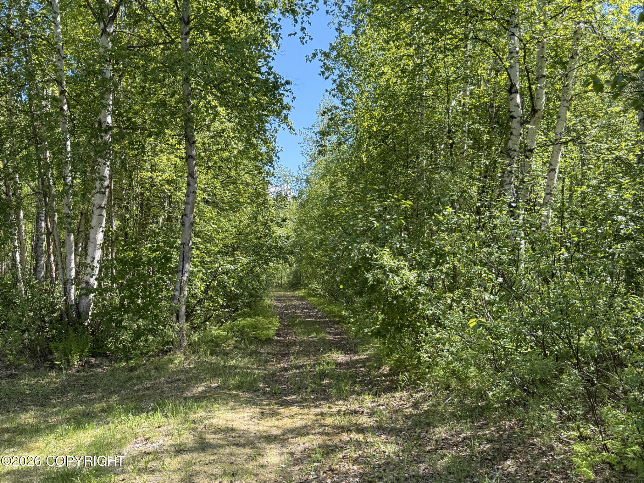 15113 E Sunshine Road Property Photo 126