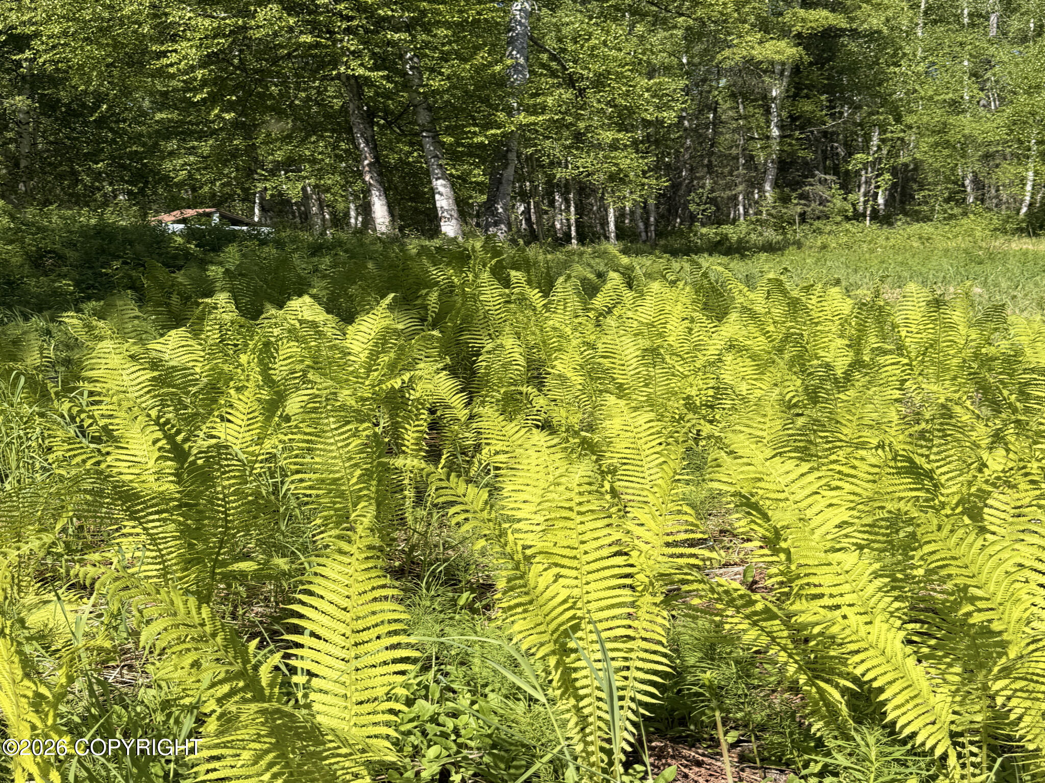 15113 E Sunshine Road Property Photo 127