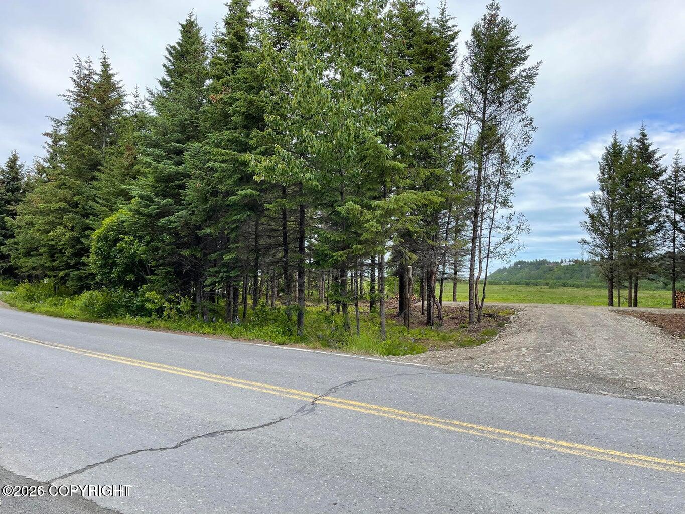 000 Anchor Point (beach) Road Property Photo 8