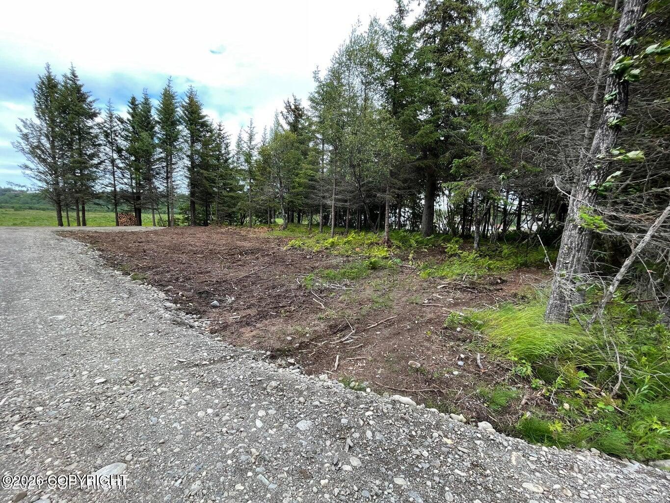 000 Anchor Point (beach) Road Property Photo 10