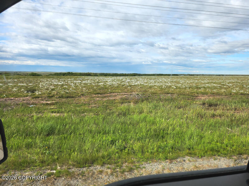 81 Lynx Loop Property Photo 3