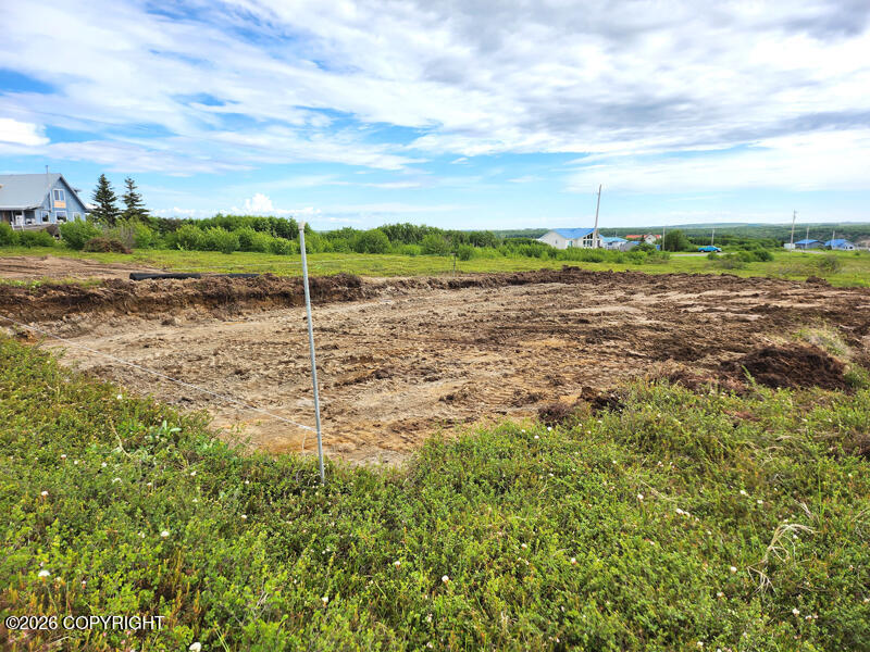 81 Lynx Loop Property Photo 6
