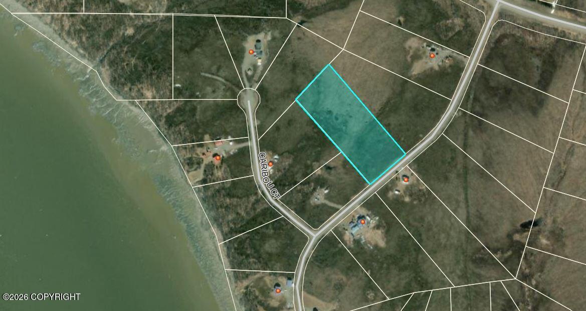 81 Lynx Loop Property Photo 9