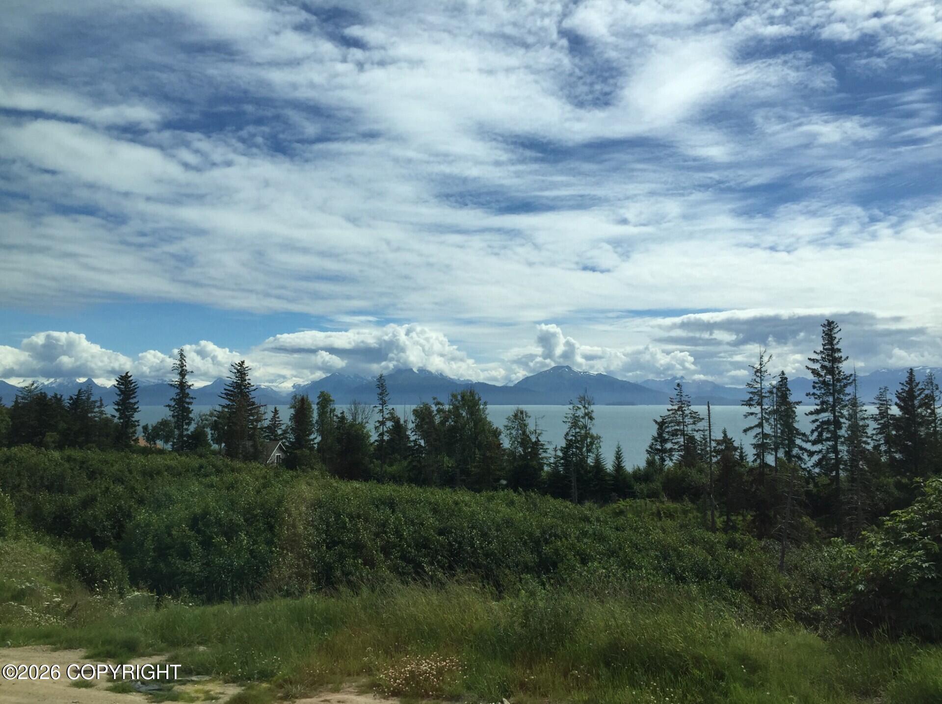 725 Sterling Highway Property Photo 3