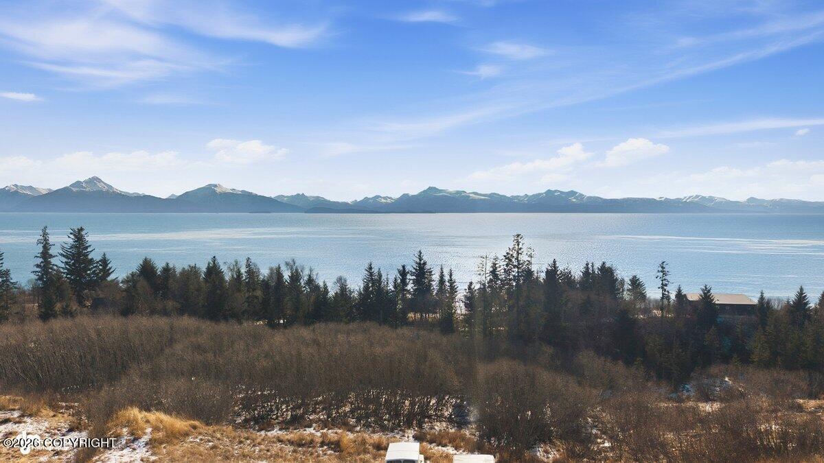725 Sterling Highway Property Photo 3