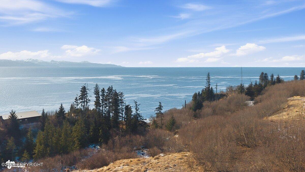 725 Sterling Highway Property Photo 8