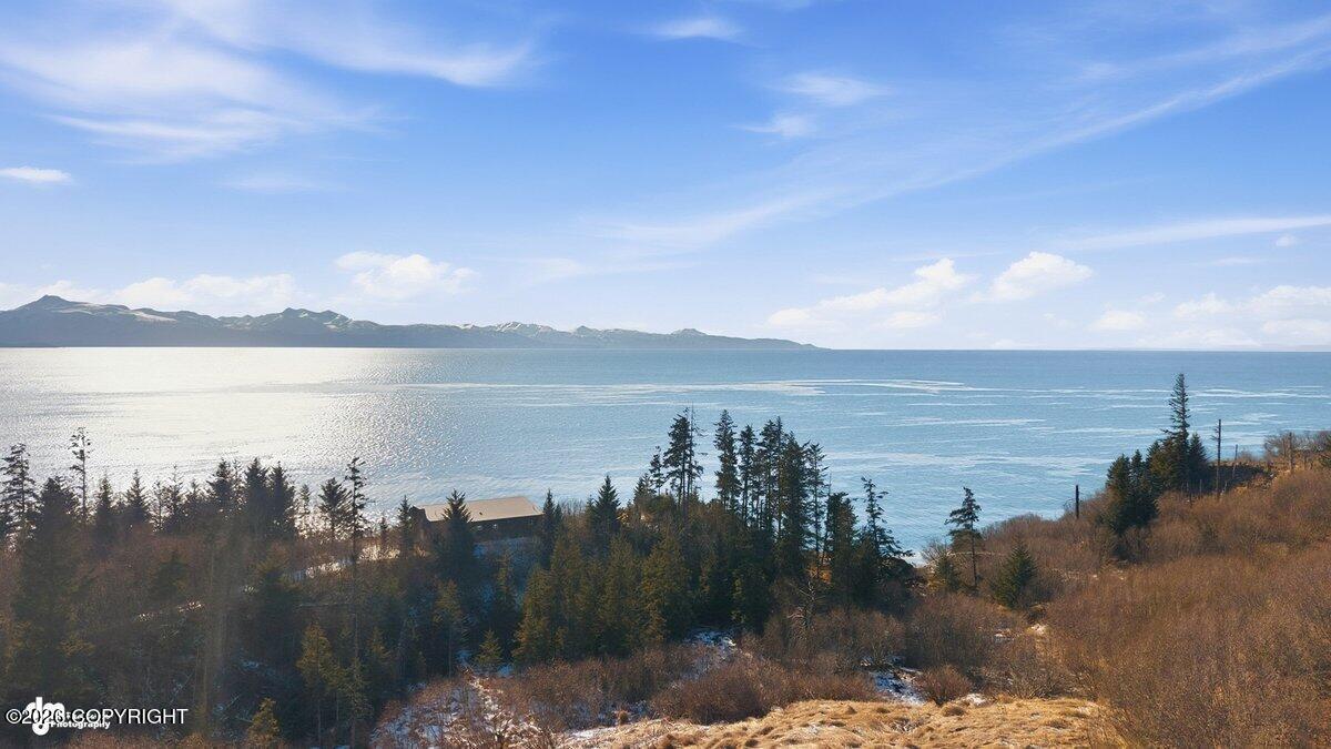 725 Sterling Highway Property Photo 9