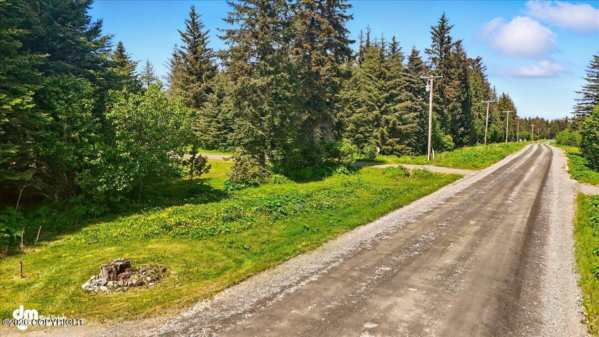 32879 Shorebird Lane Property Photo 59