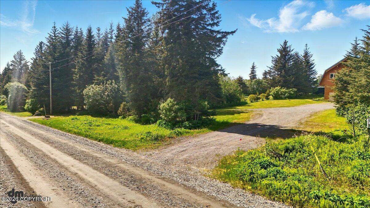 32879 Shorebird Lane Property Photo 60