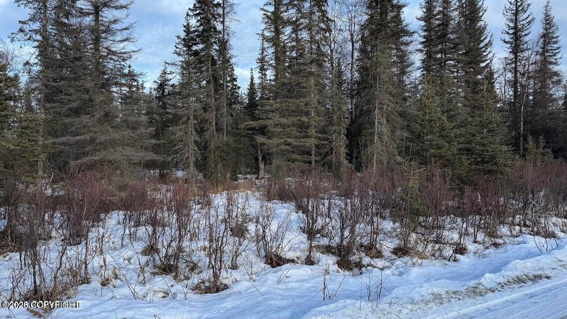 Tr 13 Gillnet Avenue Property Photo 5