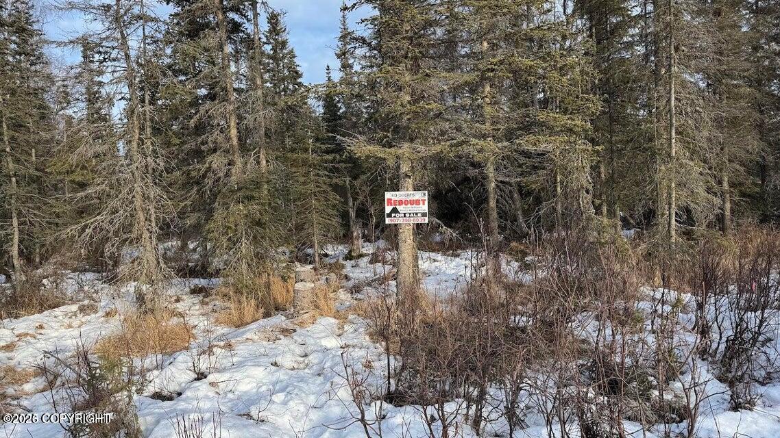 Tr 13 Gillnet Avenue Property Photo 6