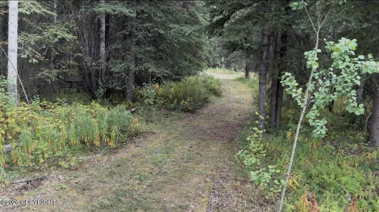 L28 Silver Springs Loop Property Photo 33