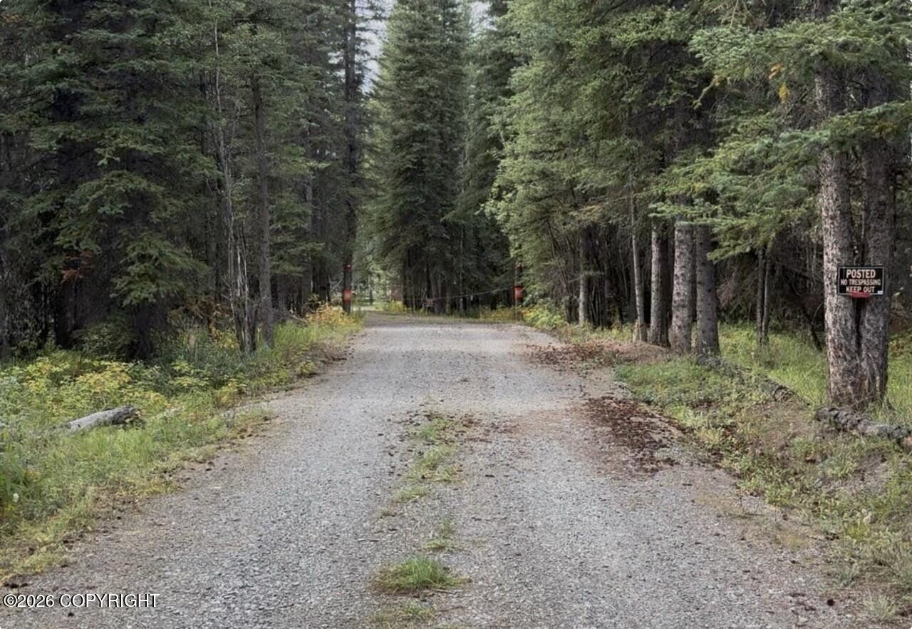 L28 Silver Springs Loop Property Photo 35
