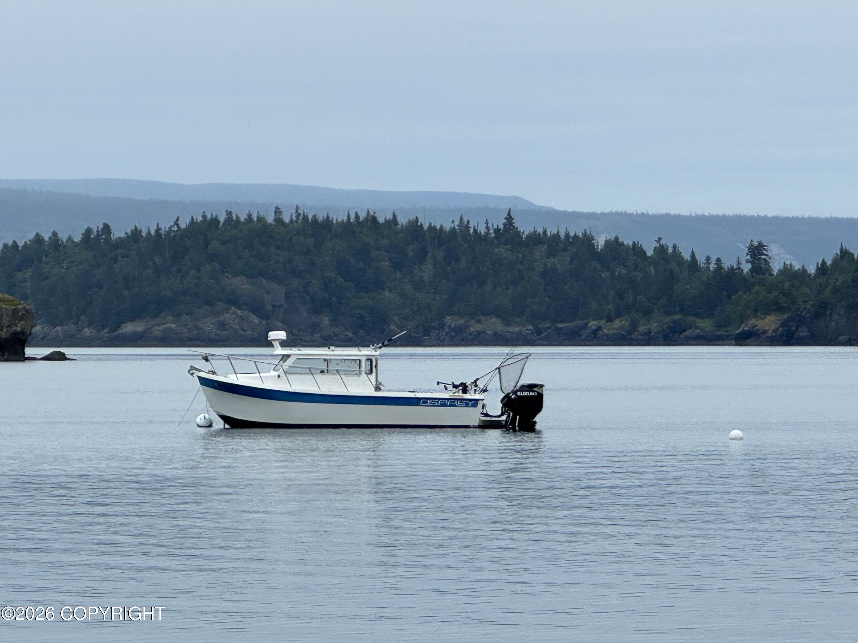000 Bear Cove Property Photo 6