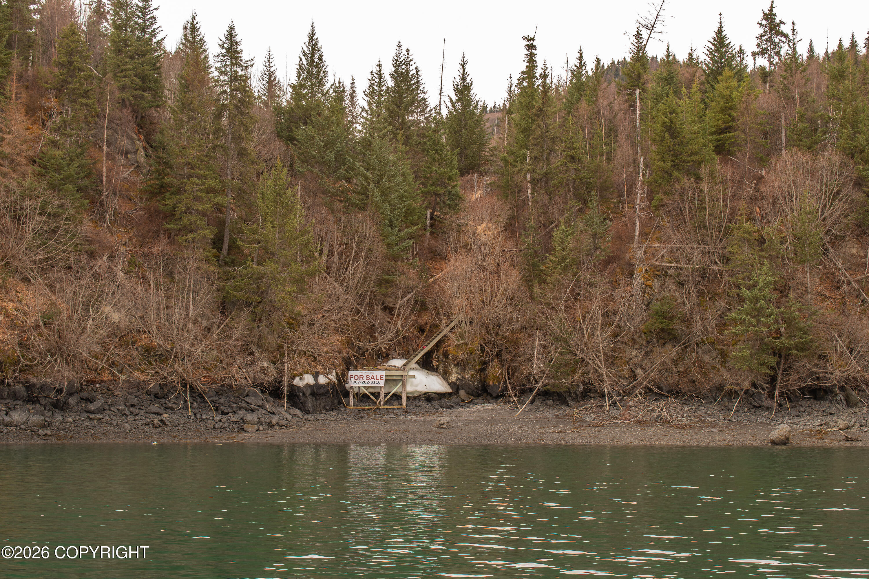 000 Bear Cove Property Photo 7