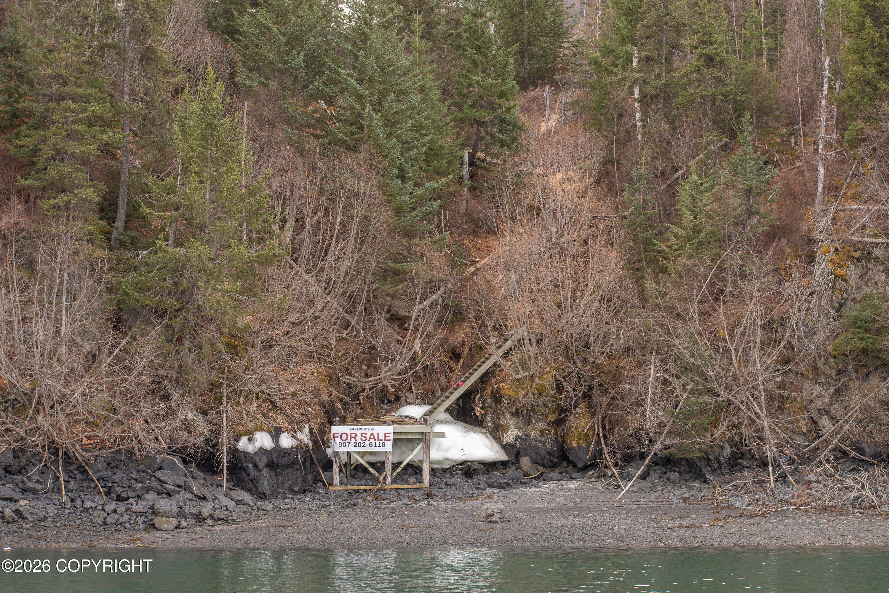 000 Bear Cove Property Photo 8