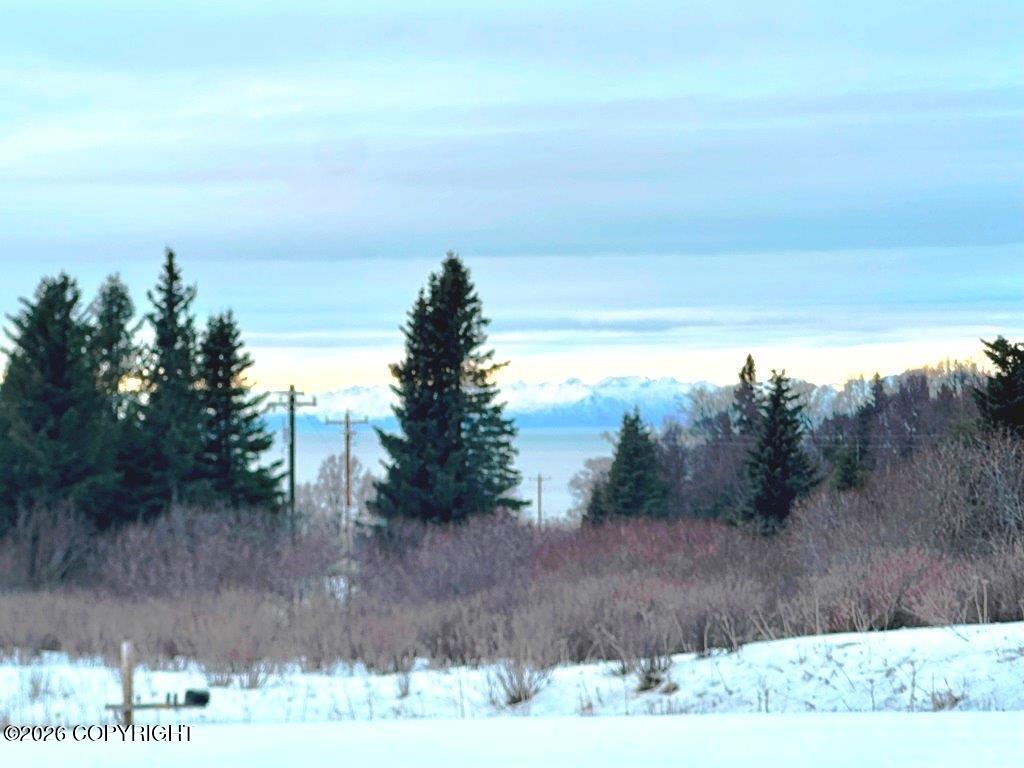 13220 Sterling Highway Property Photo 35