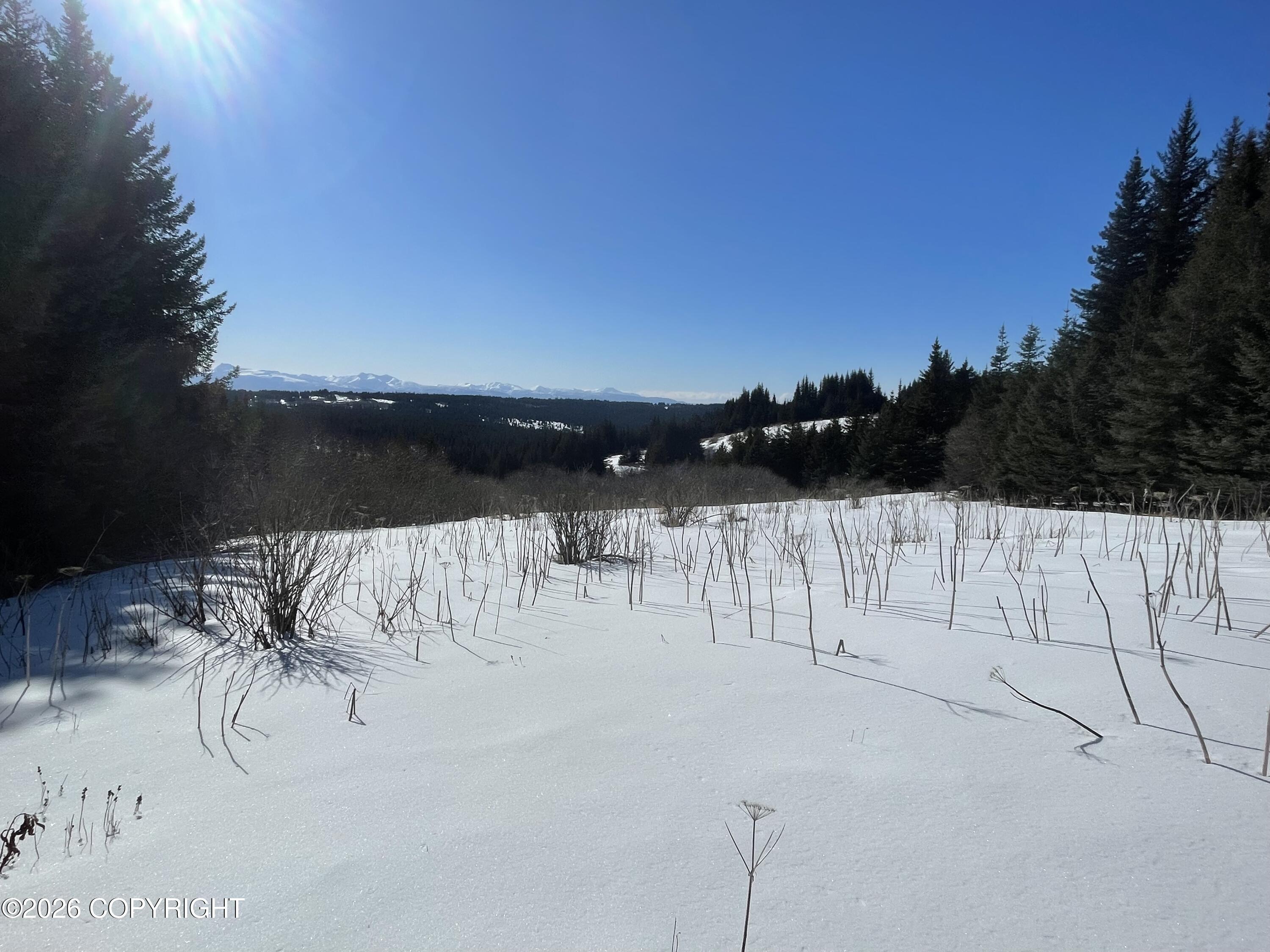 62091 Crossman Ridge Road Property Photo 20