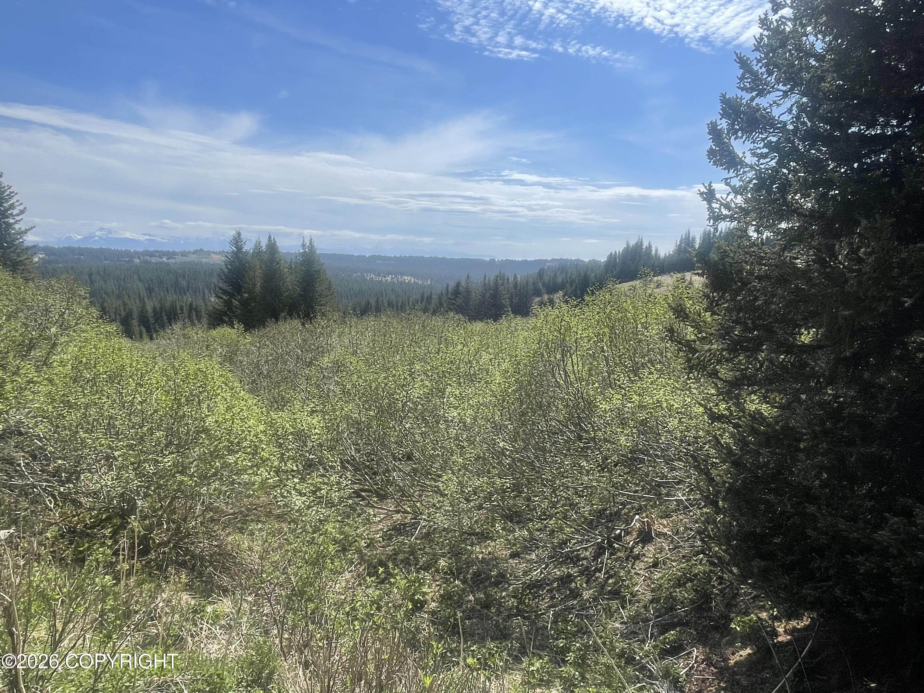 62091 Crossman Ridge Road Property Photo 23