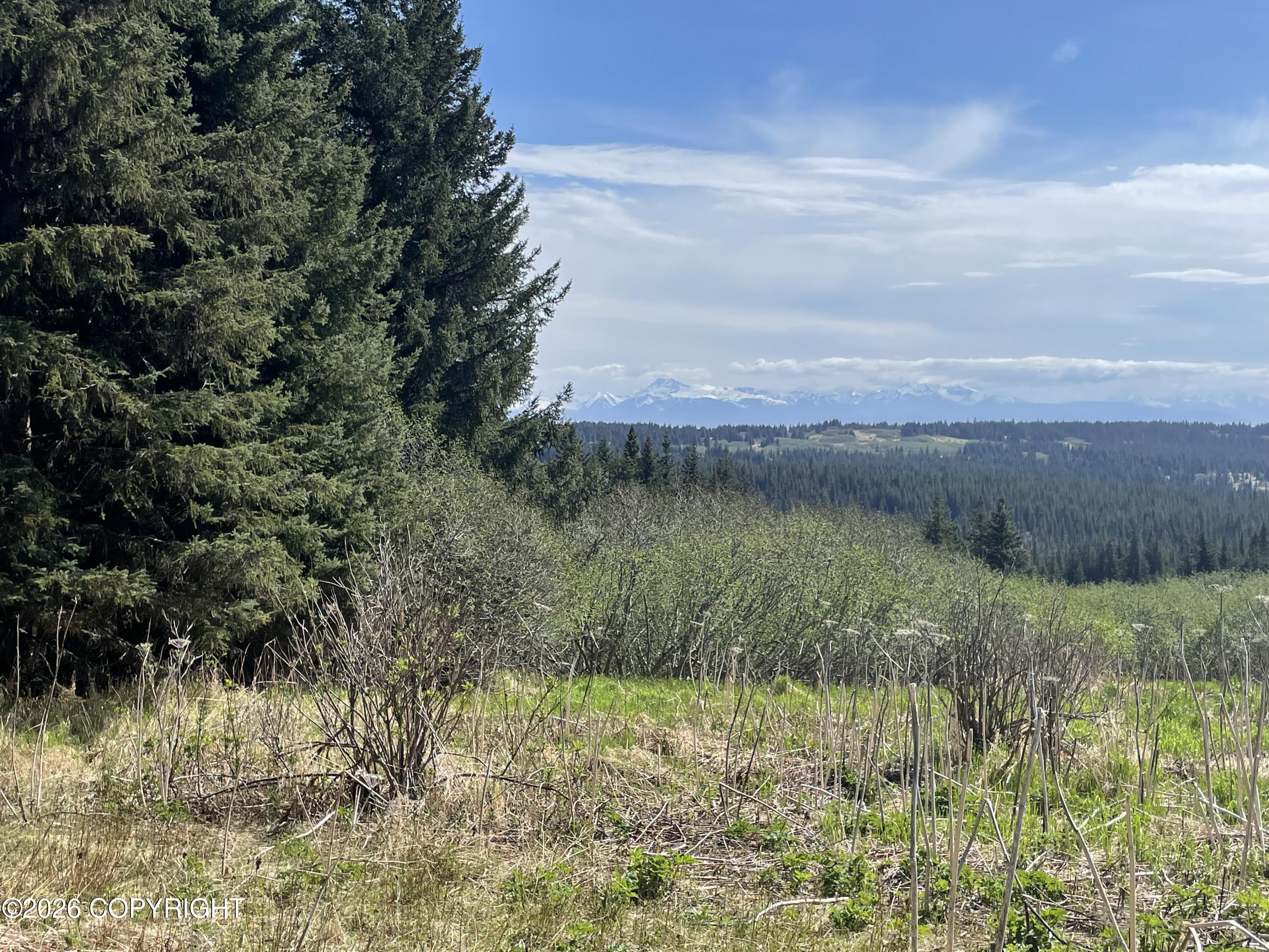 62091 Crossman Ridge Road Property Photo 27