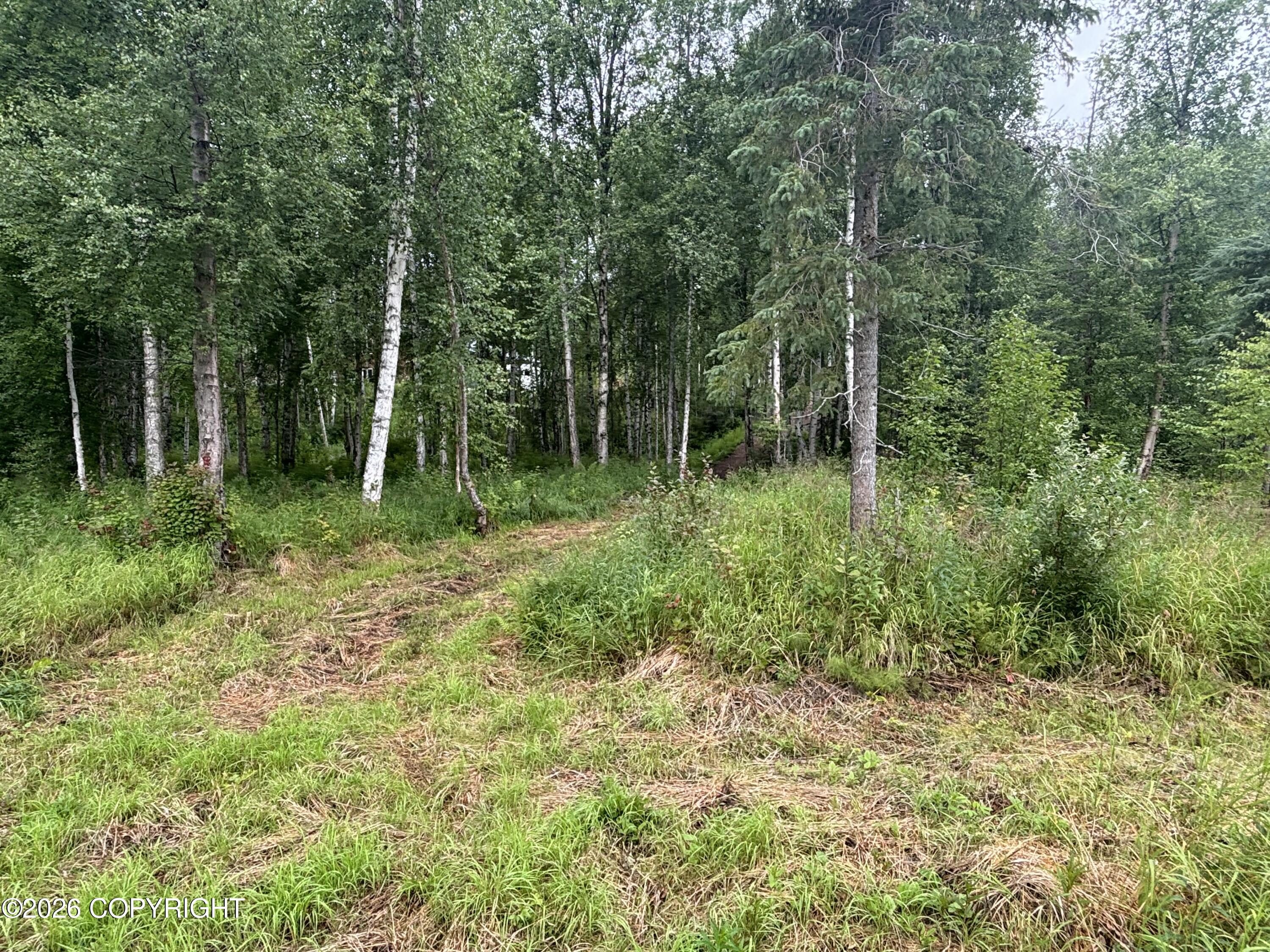14463 E Ian Tawney Drive Property Photo 42