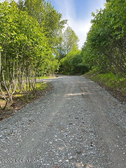56486 Sterling Highway Property Photo 2