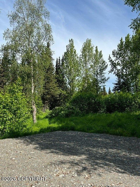 56486 Sterling Highway Property Photo 4