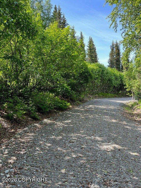 56486 Sterling Highway Property Photo 5
