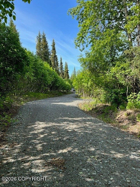 56486 Sterling Highway Property Photo 6