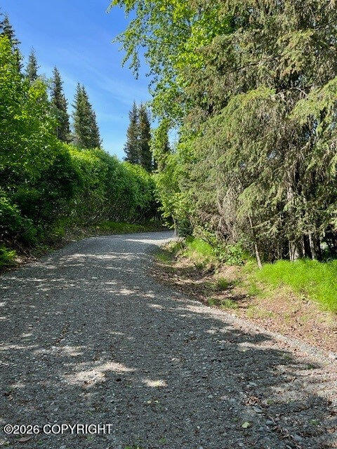 56486 Sterling Highway Property Photo 10