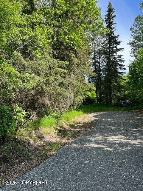 56486 Sterling Highway Property Photo 11