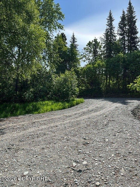 56486 Sterling Highway Property Photo 12
