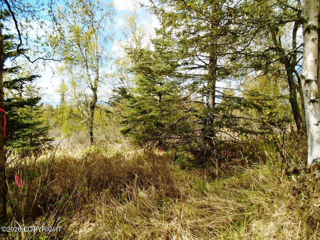 L2b Goldenview Drive Property Photo 8