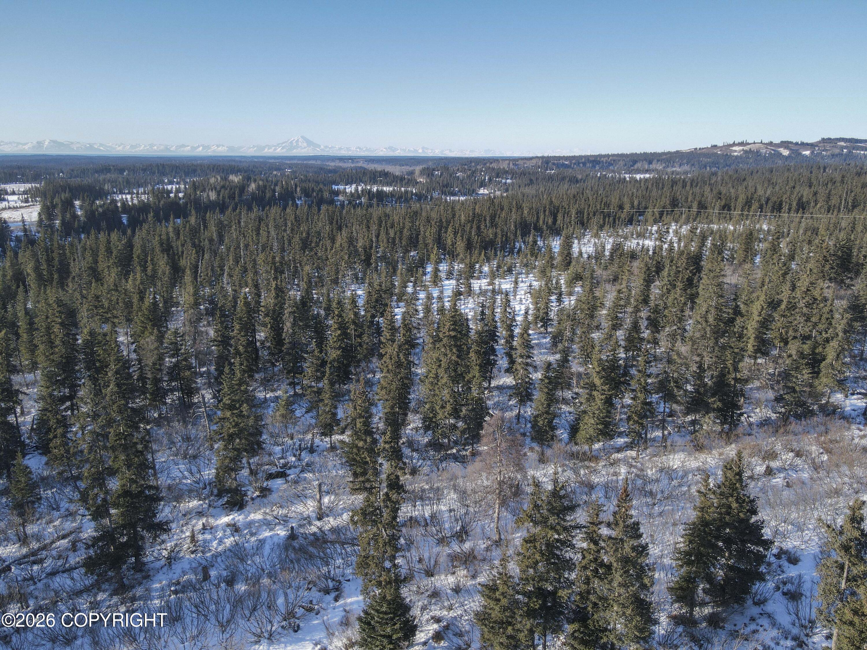 67225 Endless View Loop Property Photo 9