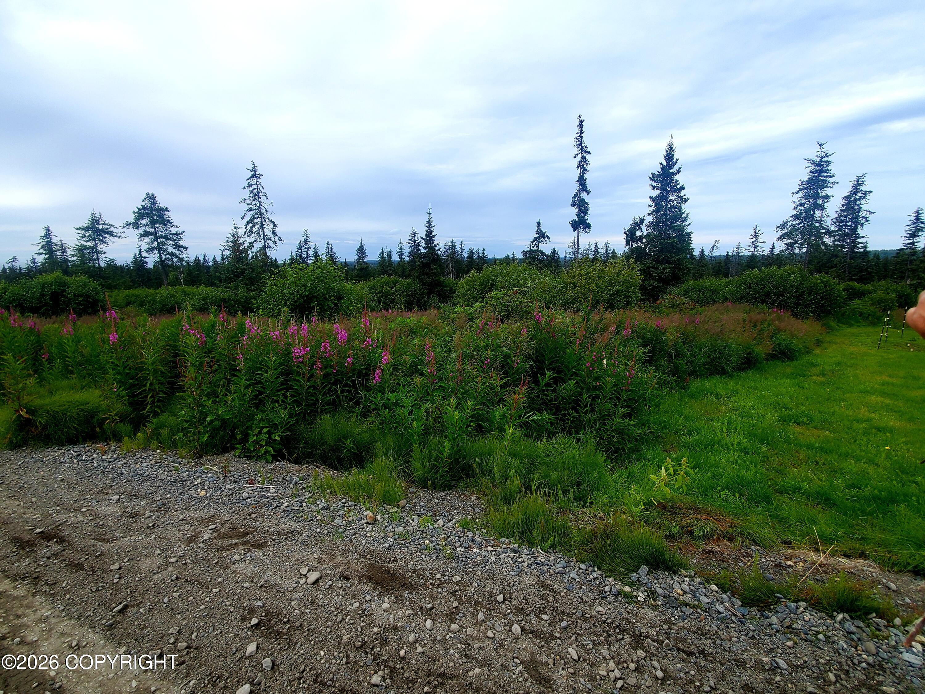 67225 Endless View Loop Property Photo 14