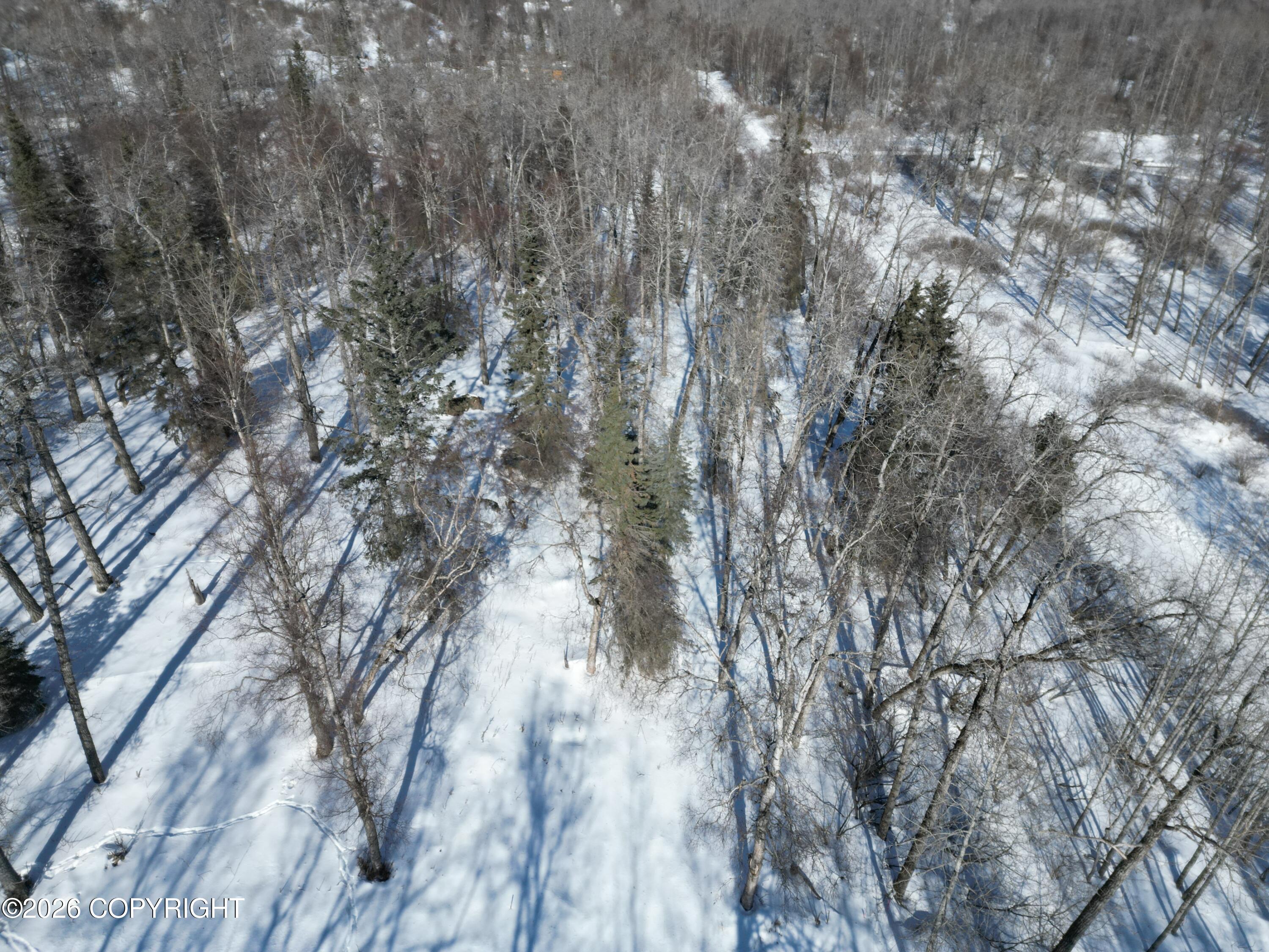 Lot 9 Horner Road Property Photo 17