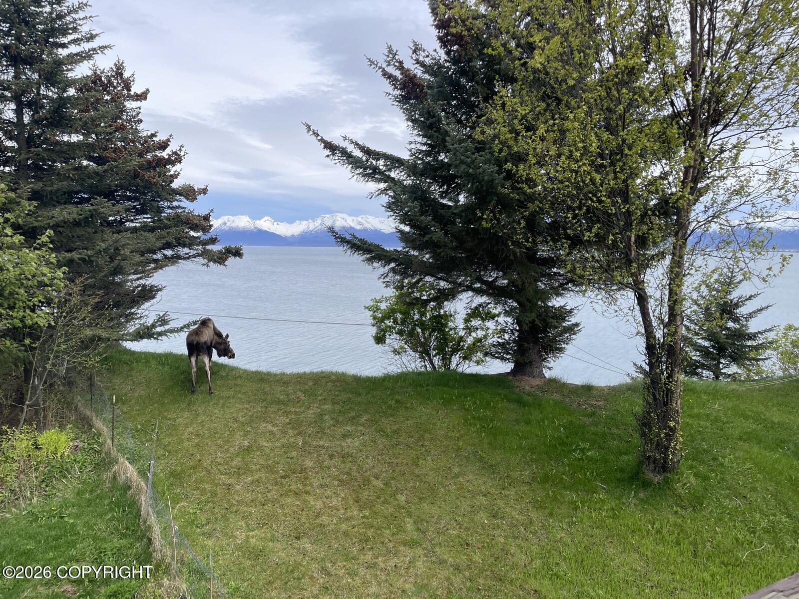 3125 Kachemak Drive Property Photo 19