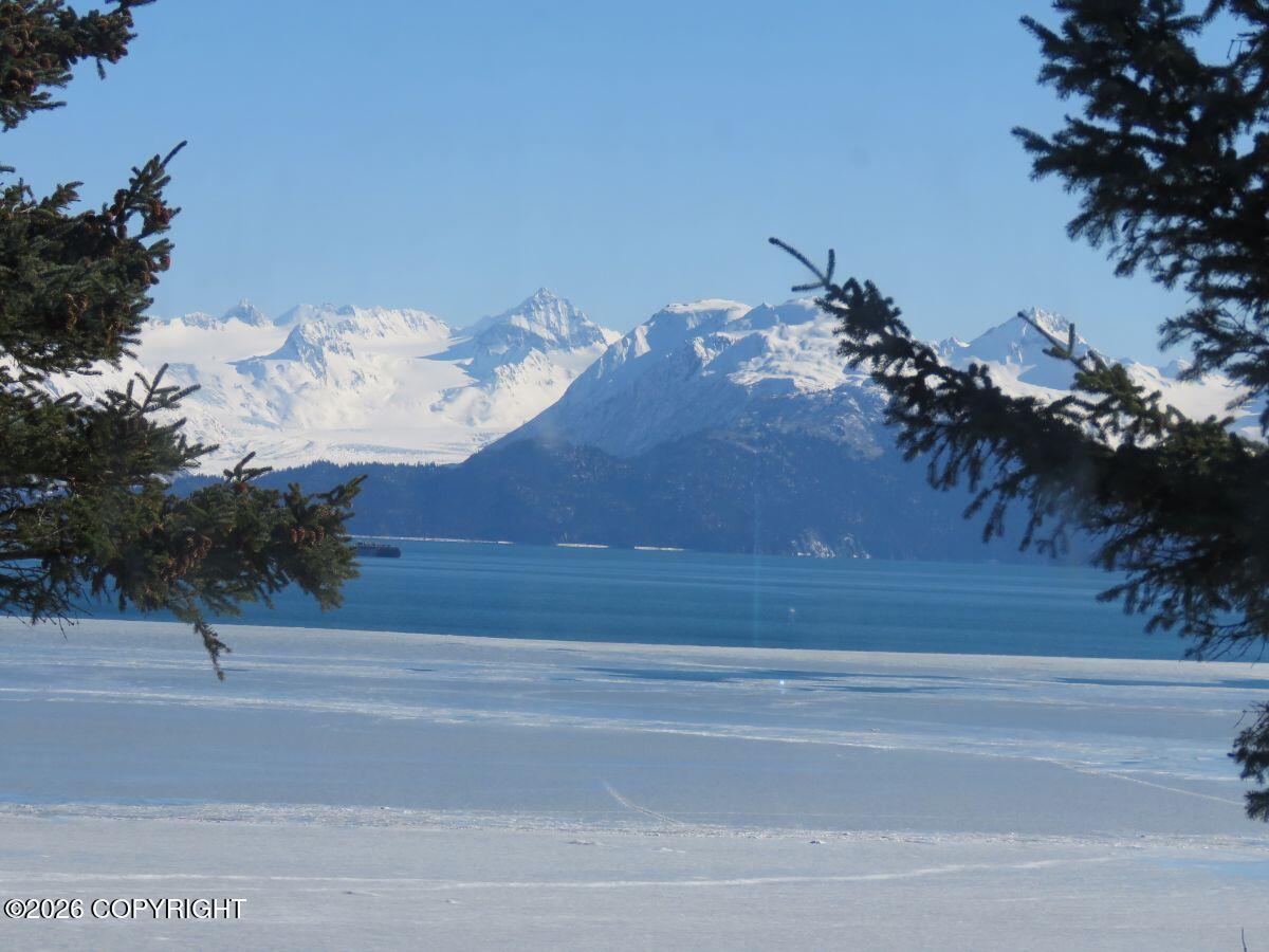 3125 Kachemak Drive Property Photo 38