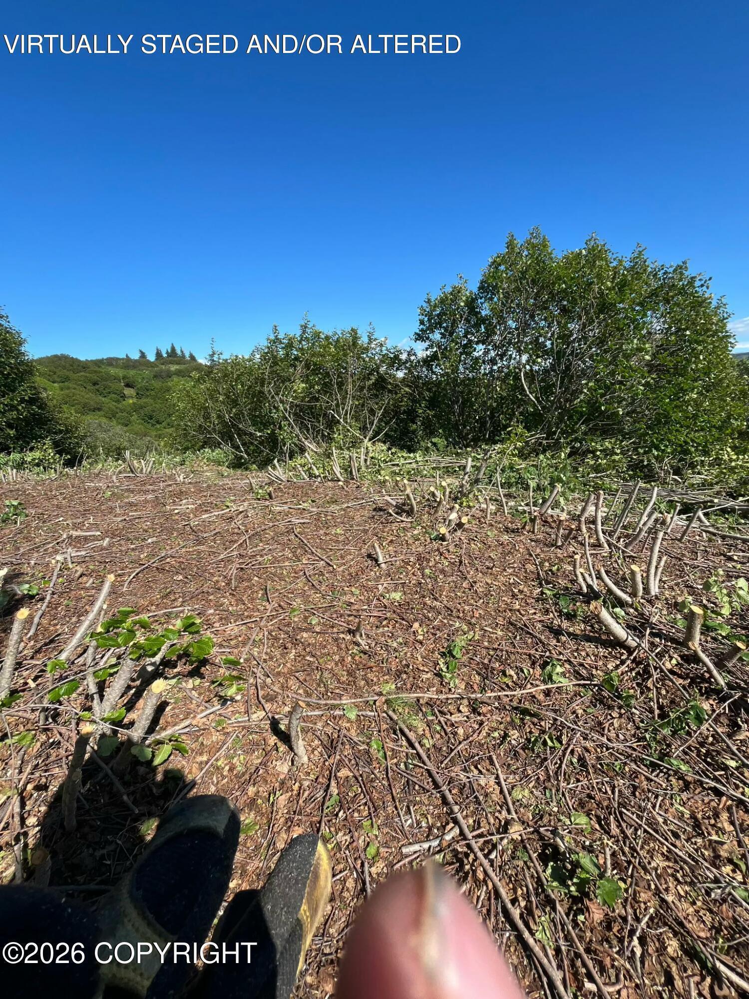 36680 Fox Road Property Photo 26
