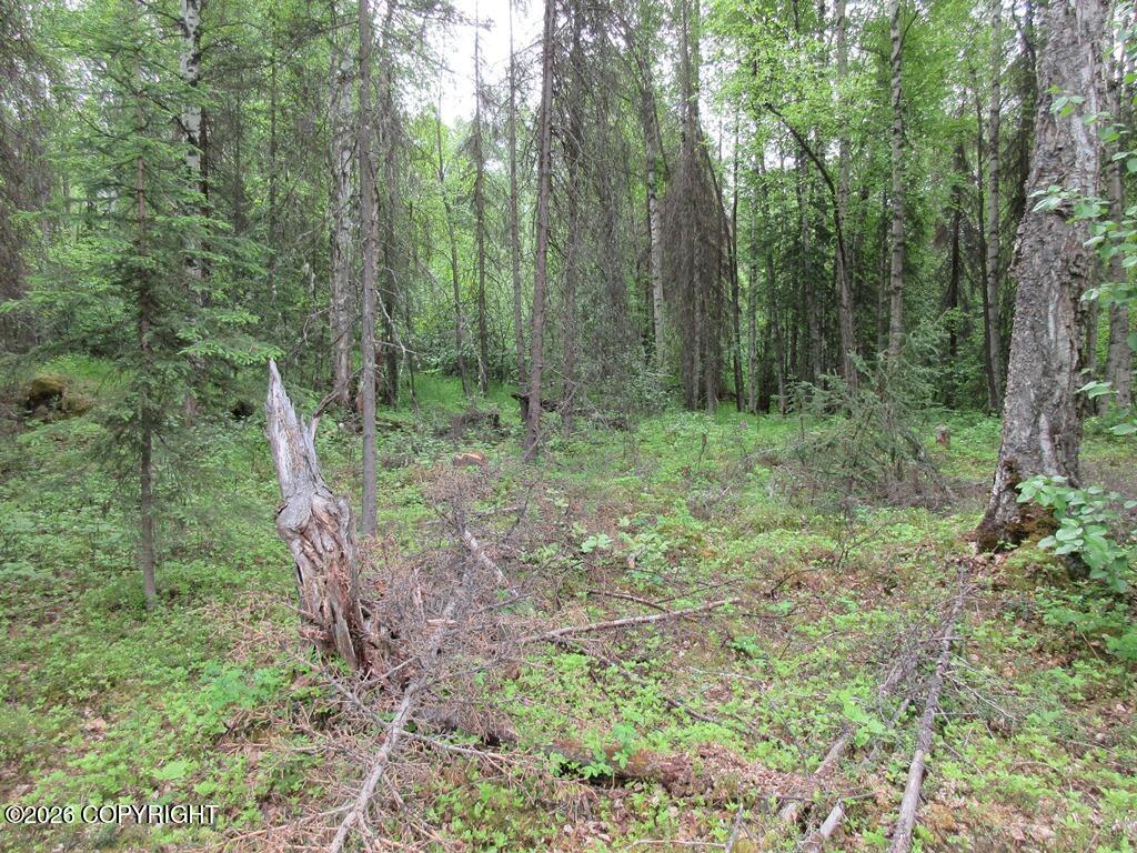1801 N Claudia Road Property Photo 3