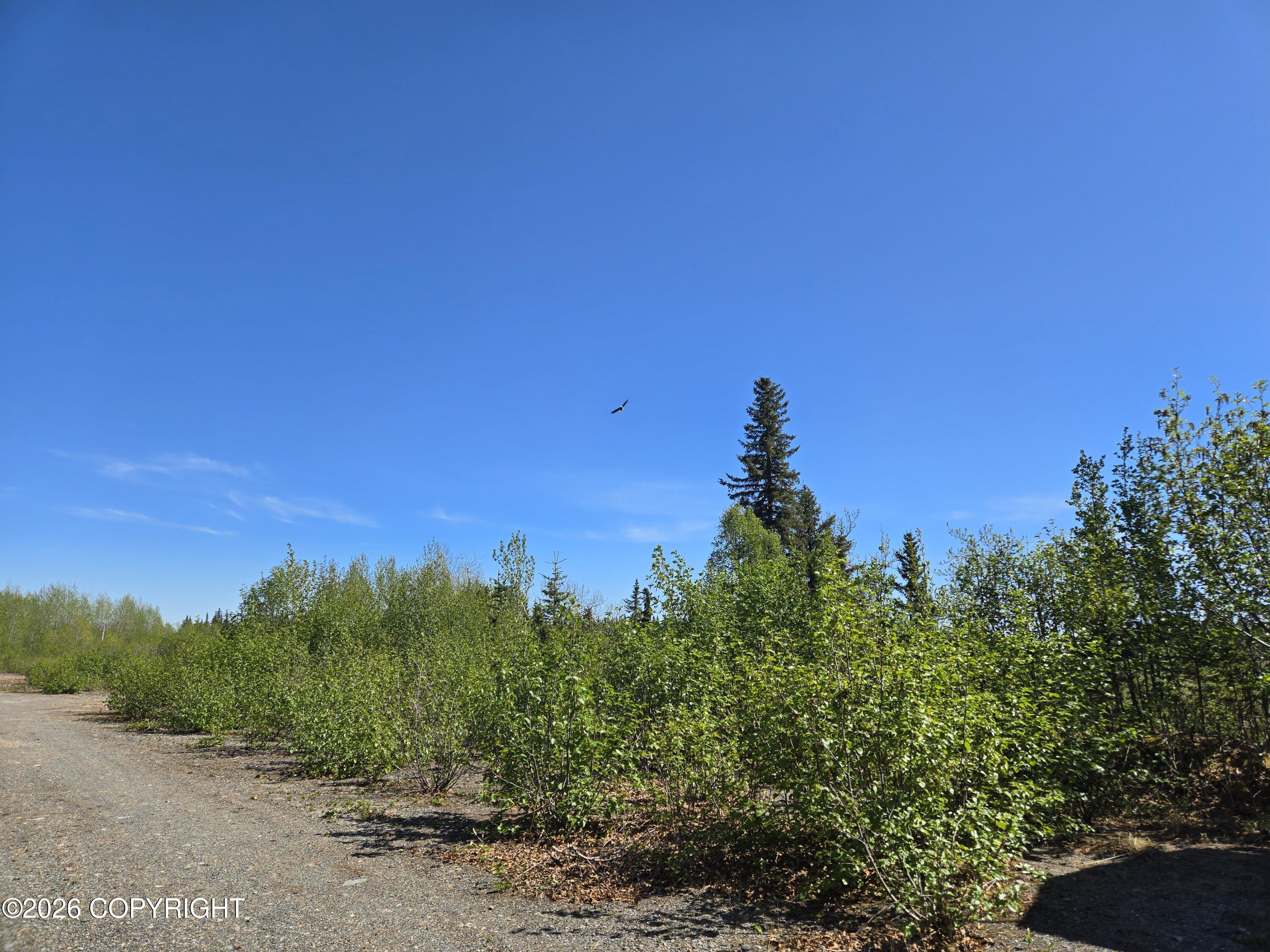 34435 Sterling Highway Property Photo 5