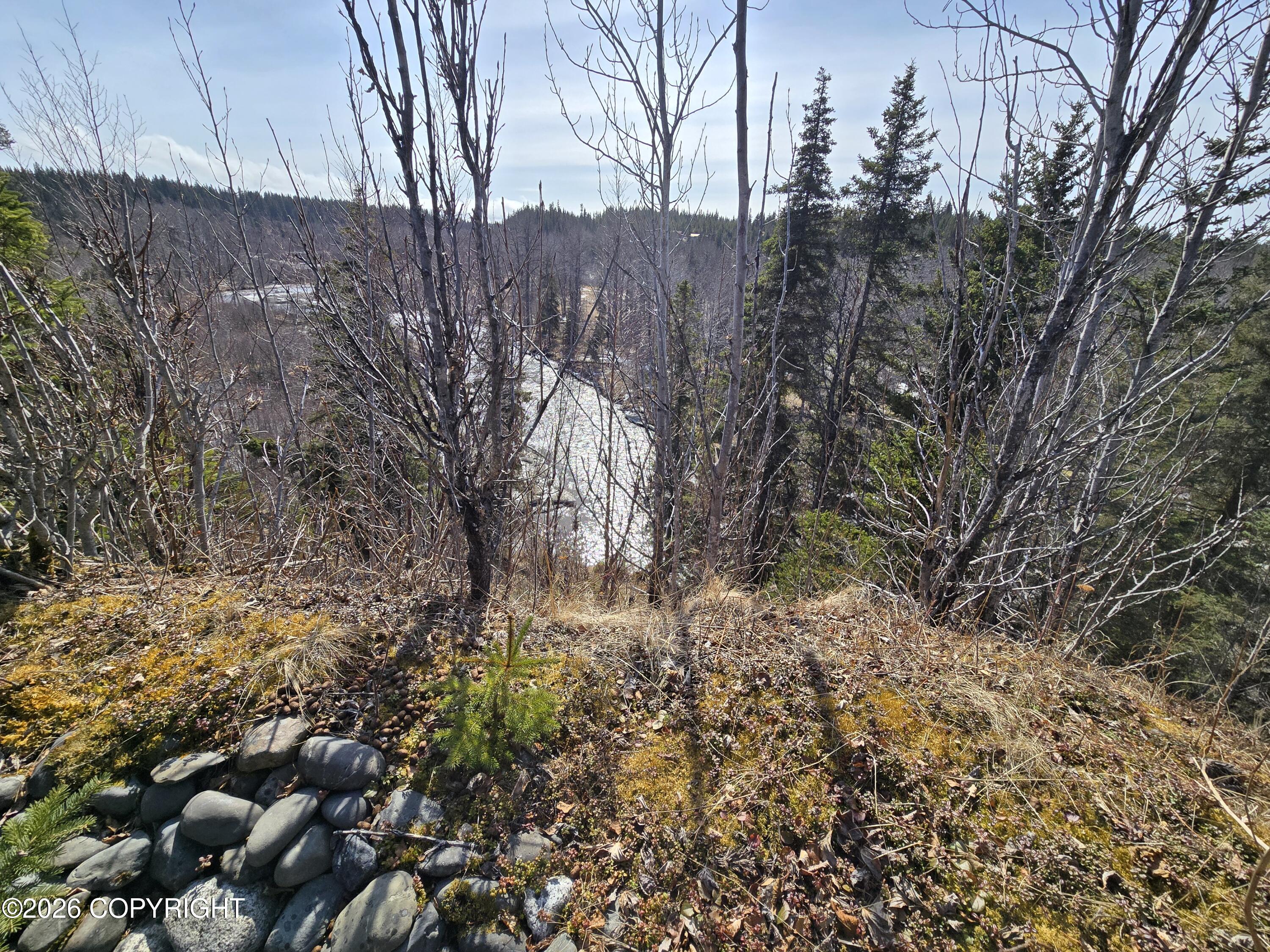 34435 Sterling Highway Property Photo 10