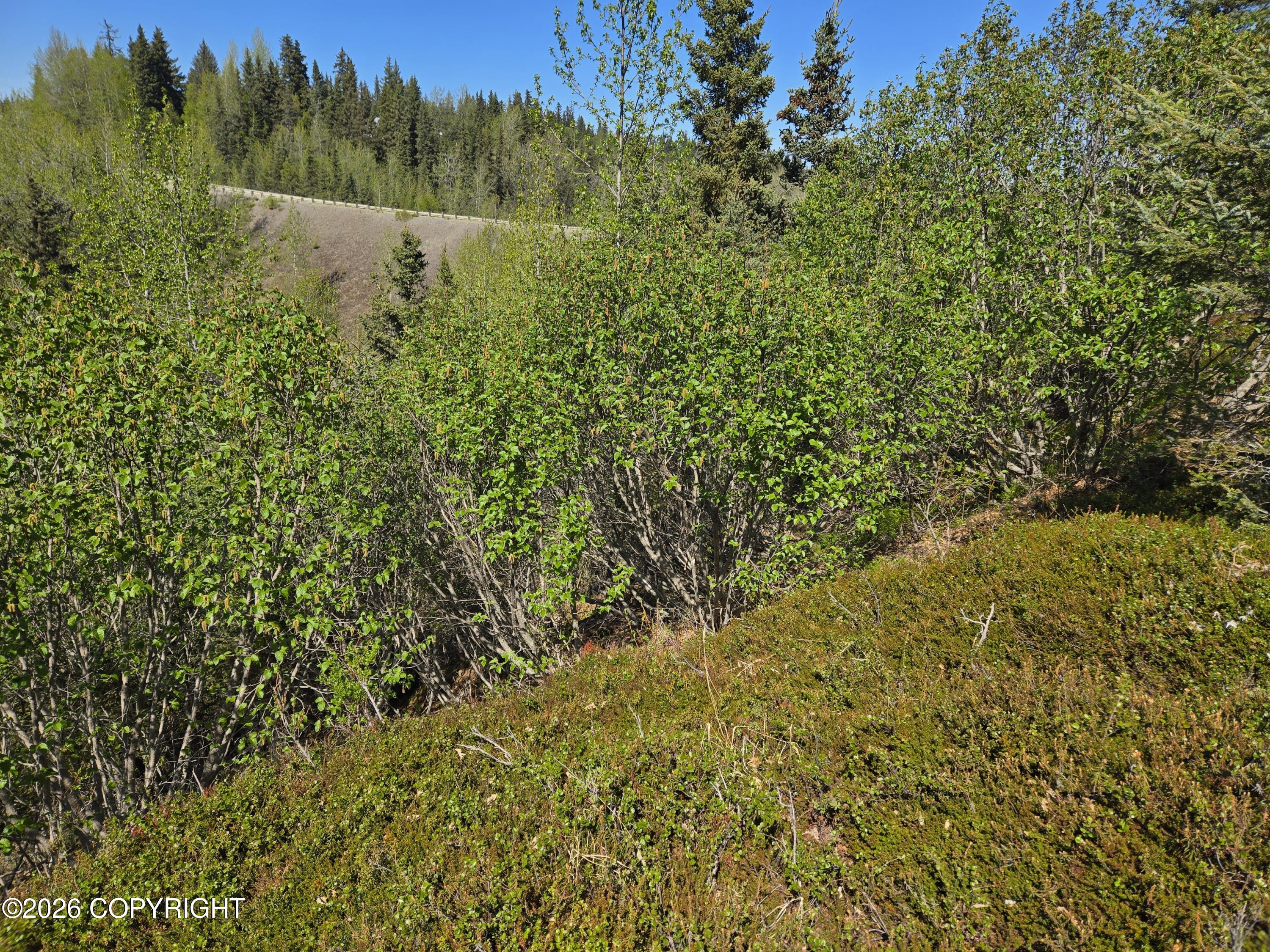 34435 Sterling Highway Property Photo 11