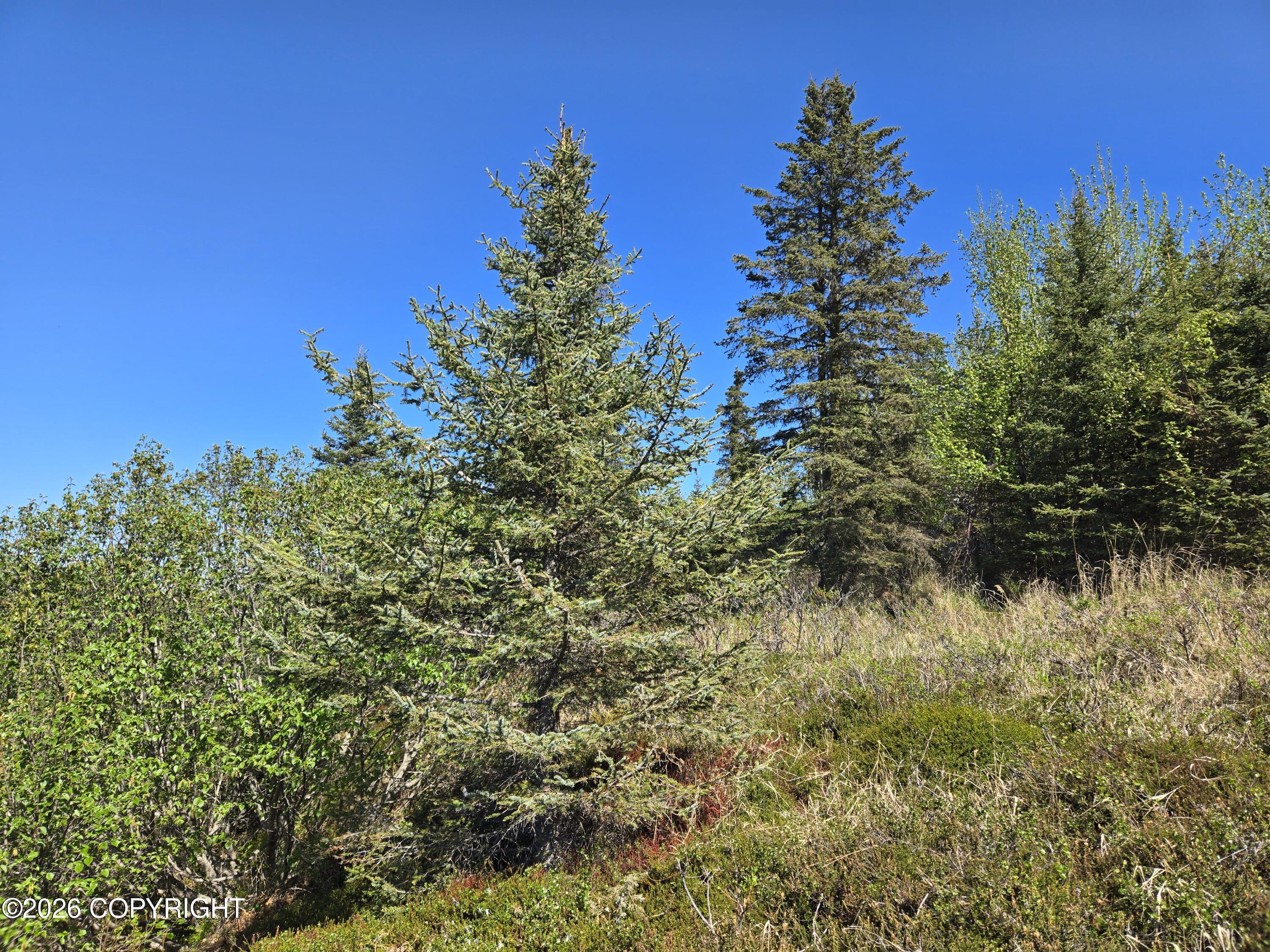34435 Sterling Highway Property Photo 12