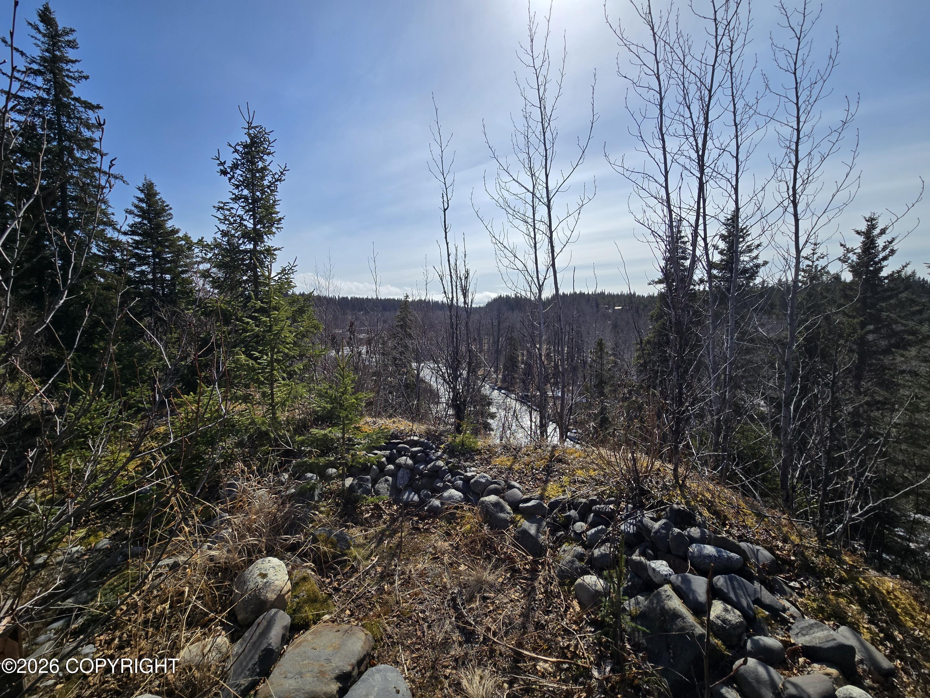 34435 Sterling Highway Property Photo 13