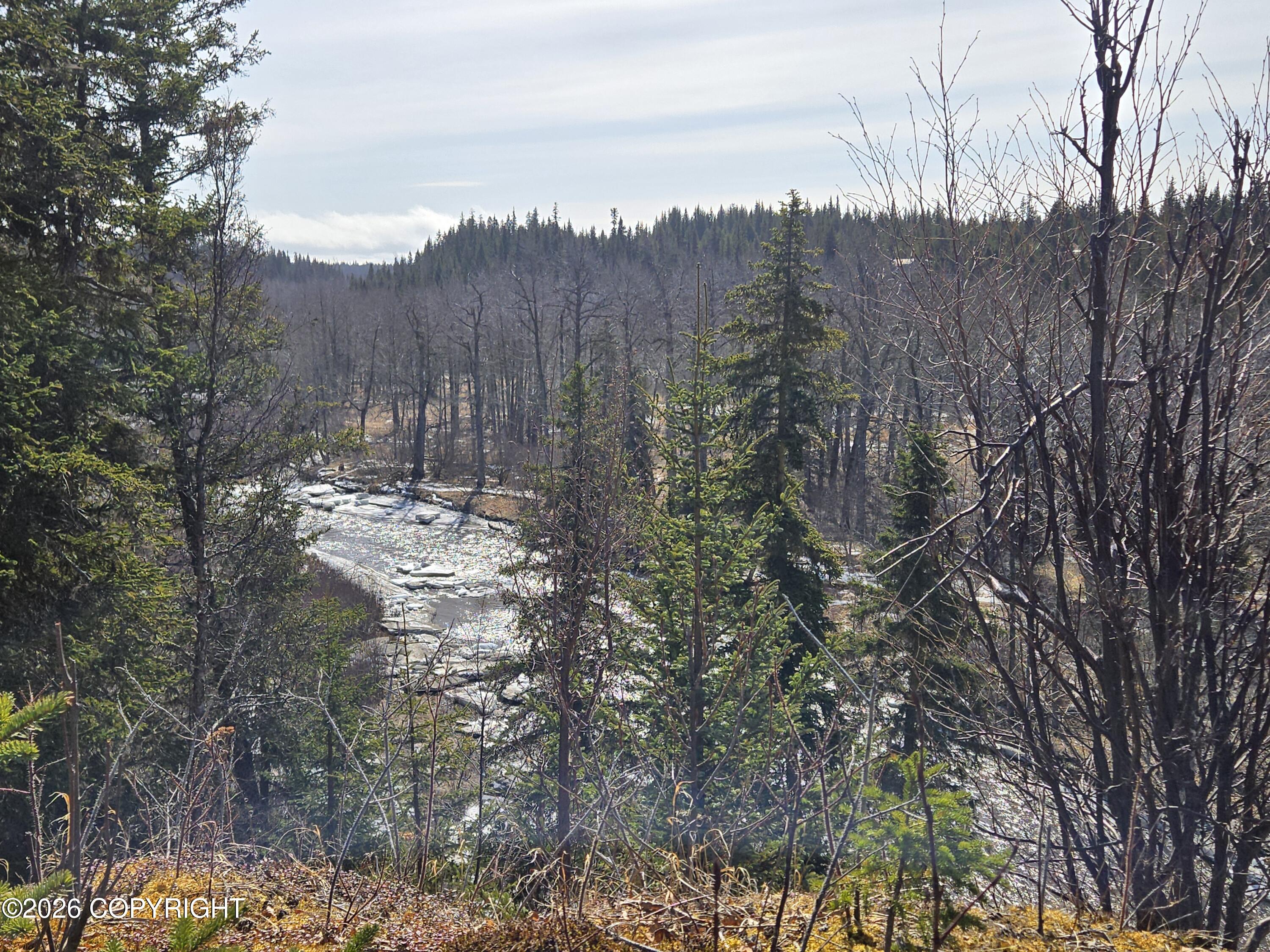 34435 Sterling Highway Property Photo 14