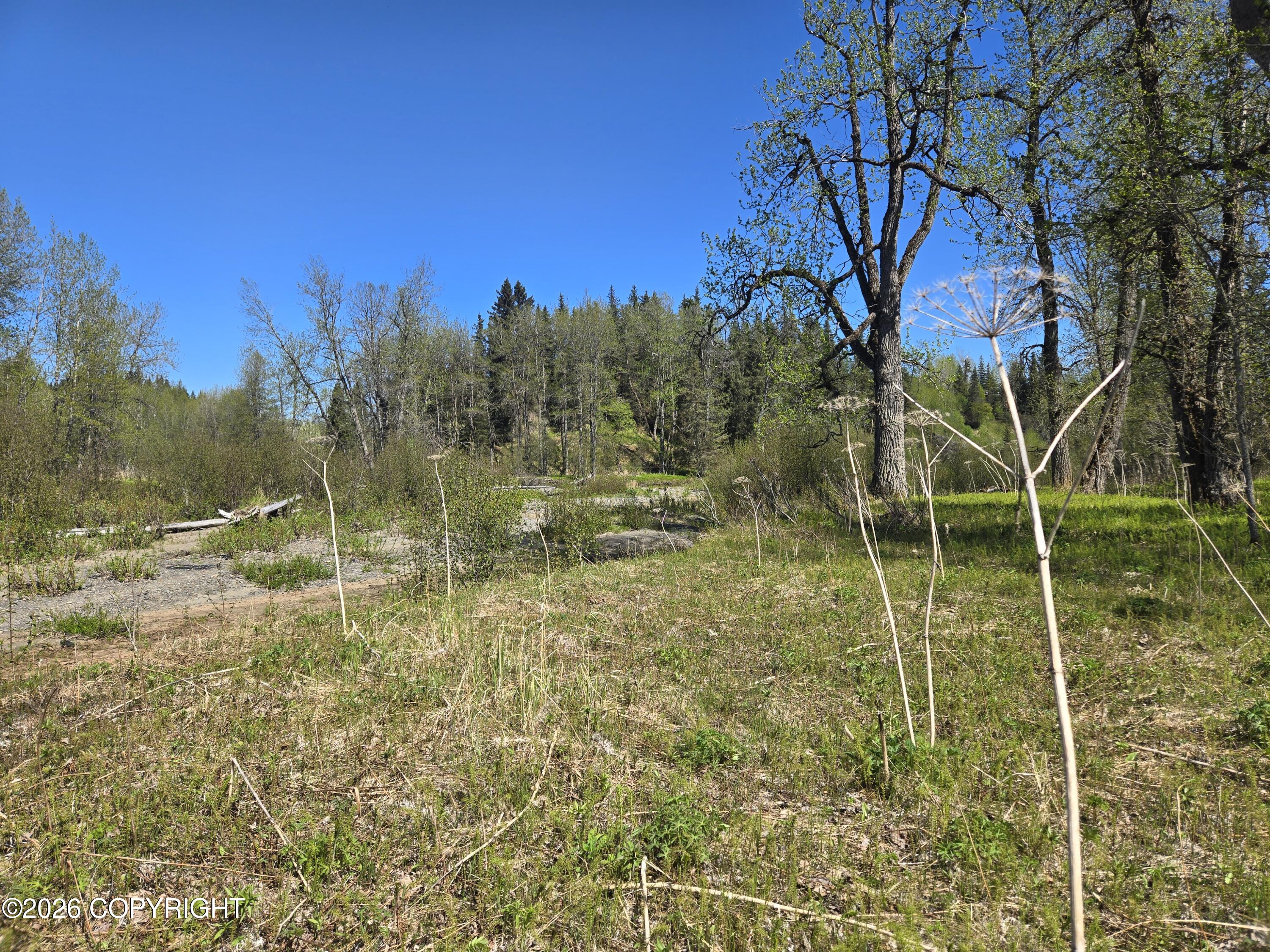 34435 Sterling Highway Property Photo 15